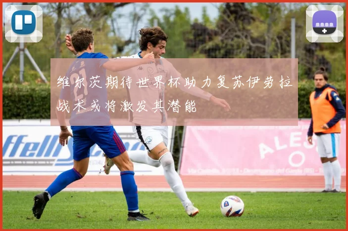 维尔茨期待世界杯助力复苏伊劳拉战术或将激发其潜能