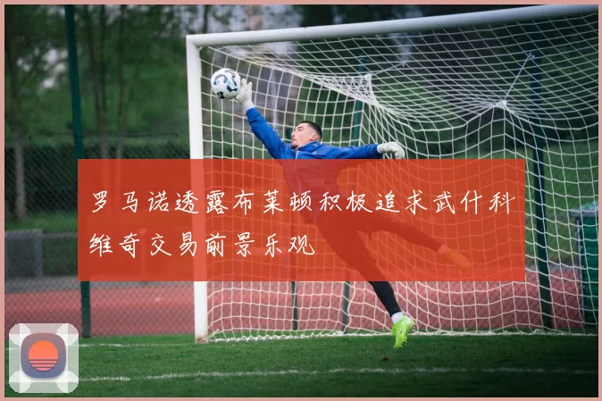罗马诺透露布莱顿积极追求武什科维奇交易前景乐观