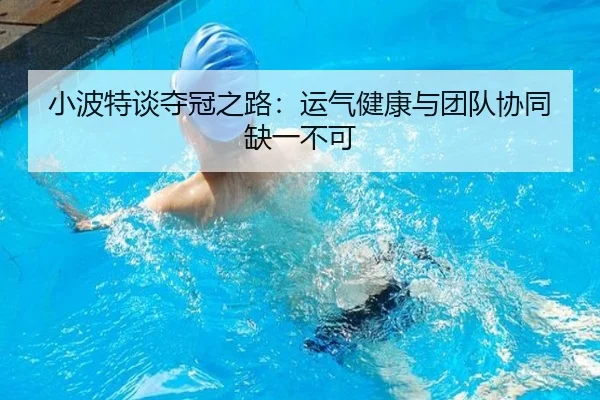 小波特谈夺冠之路：运气健康与团队协同缺一不可 - 3377.com
